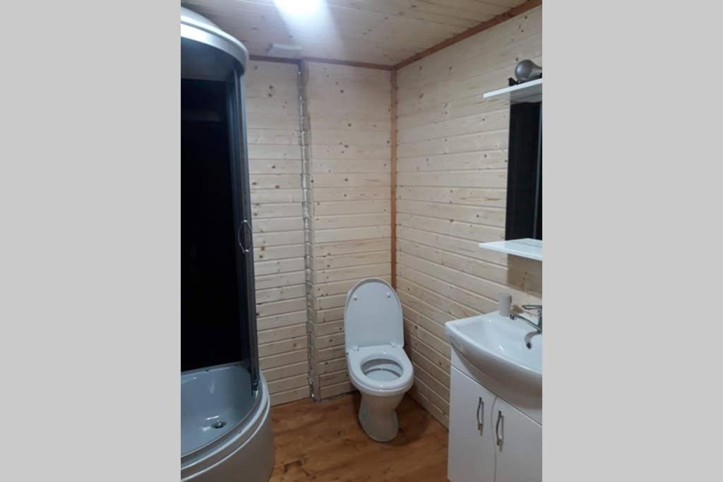 Номер 6 Садиба У Ані Synevyrsʼka Polyana Exteriör bild