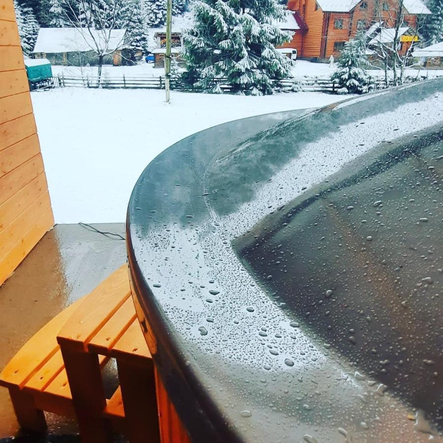 Номер 6 Садиба У Ані Synevyrsʼka Polyana Exteriör bild